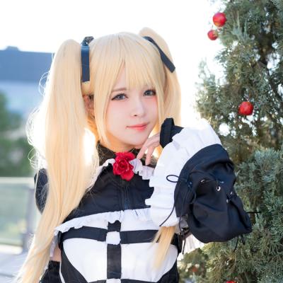 Garden rose (Dead or Alive) 083