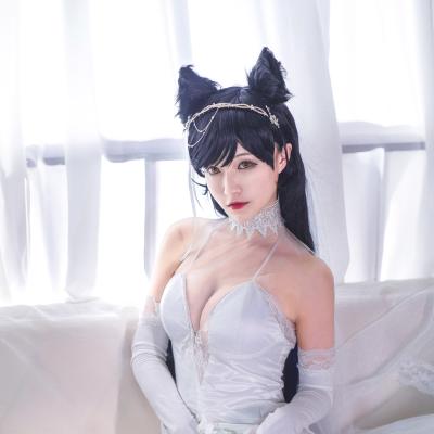 Atago 1 24
