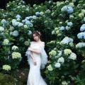 Beautiful Bride and Hydrangea Flowers - 23
