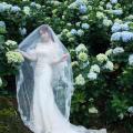 Beautiful Bride and Hydrangea Flowers - 27