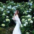Beautiful Bride and Hydrangea Flowers - 34