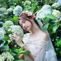 Beautiful Bride and Hydrangea Flowers - 41
