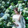 Beautiful Bride and Hydrangea Flowers - 42