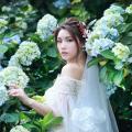Beautiful Bride and Hydrangea Flowers - 51