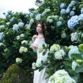 Beautiful Bride and Hydrangea Flowers - 56