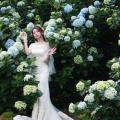 Beautiful Bride and Hydrangea Flowers - 57