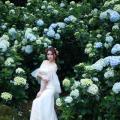 Beautiful Bride and Hydrangea Flowers - 62