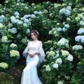 Beautiful Bride and Hydrangea Flowers - 02