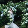 Beautiful Bride and Hydrangea Flowers - 40