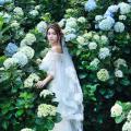 Beautiful Bride and Hydrangea Flowers - 52