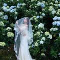 Beautiful Bride and Hydrangea Flowers - 25