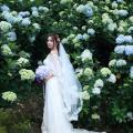 Beautiful Bride and Hydrangea Flowers - 29