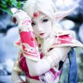 [Aza miyuko] Blood Elf Priest (World of Warcraft) 30