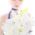 Saber lily 19