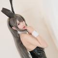Mai Sakurajima - Bunny Girl 14