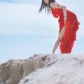 海边红裙 14