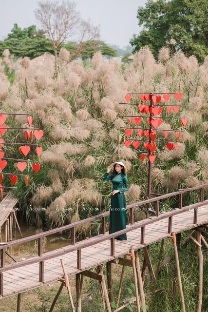 Đức Tiên Photography – ảnh 121