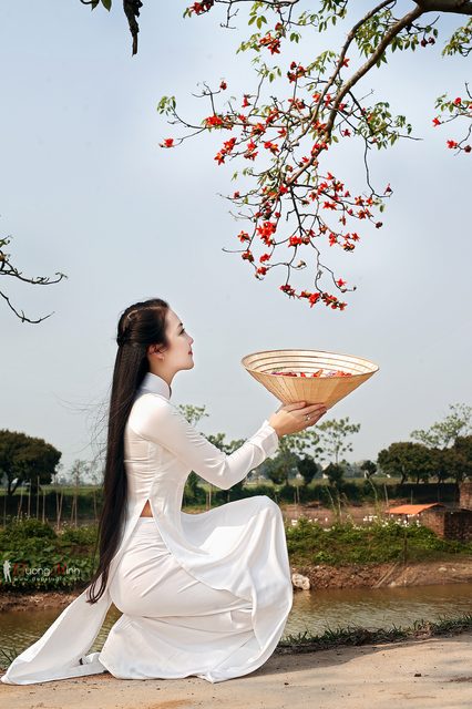 Tổng hợp ảnh girl xinh Việt Nam được tải nhiều nhất – ảnh 1