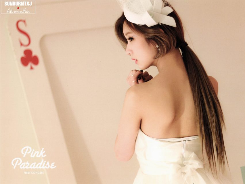 Apink - 1st Concert [Pink Paradise] – photo 2