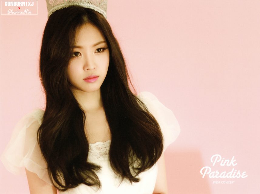 Apink - 1st Concert [Pink Paradise] – photo 4