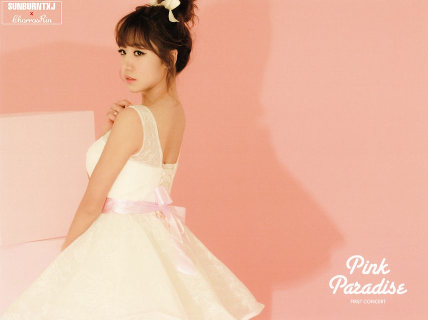 Apink - 1st Concert [Pink Paradise] – photo 5