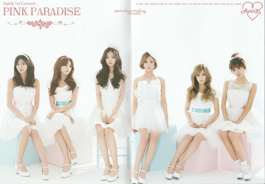 Apink - 1st Concert [Pink Paradise] – photo 8