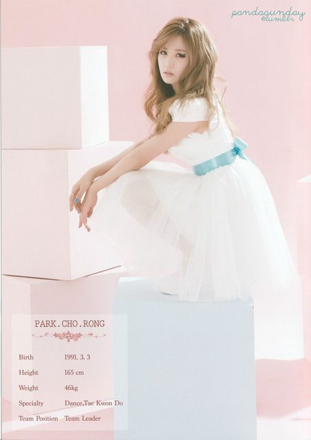 Apink - 1st Concert [Pink Paradise] – photo 9