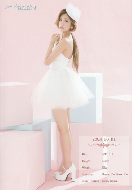 Apink - 1st Concert [Pink Paradise] – photo 10