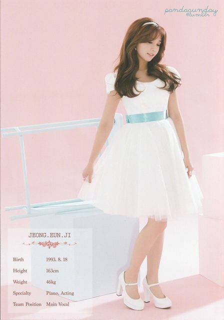 Apink - 1st Concert [Pink Paradise] – photo 11
