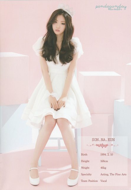 Apink - 1st Concert [Pink Paradise] – photo 12