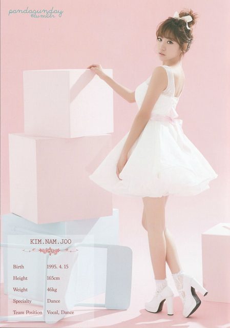 Apink - 1st Concert [Pink Paradise] – photo 13