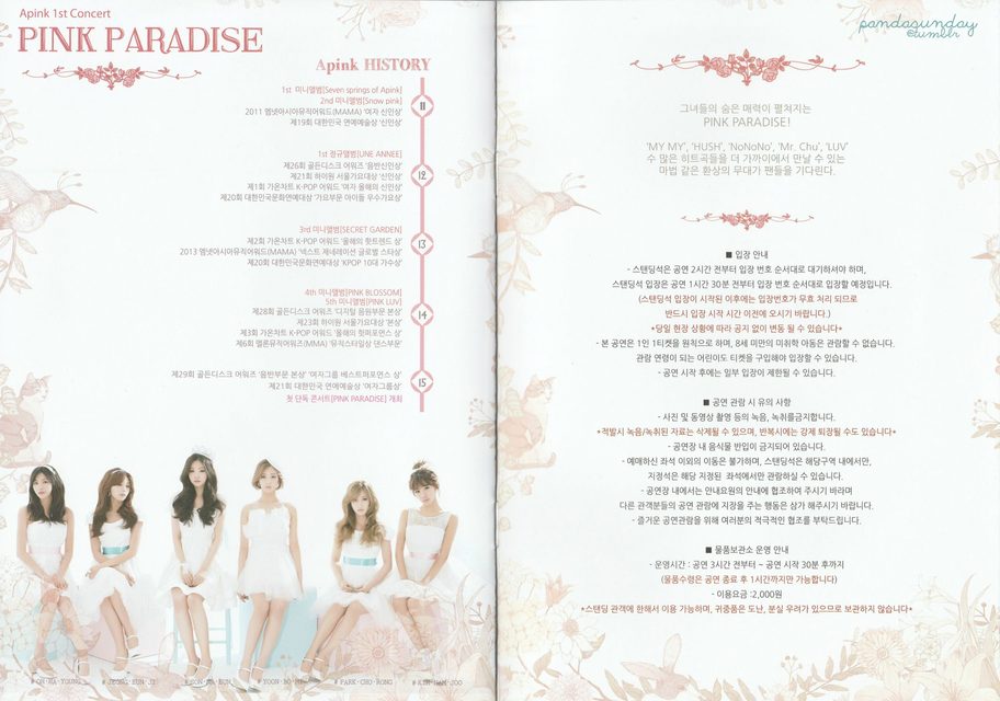 Apink - 1st Concert [Pink Paradise] – photo 15