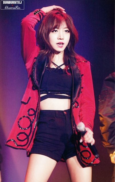 Apink - 1st Concert [Pink Paradise] – photo 24