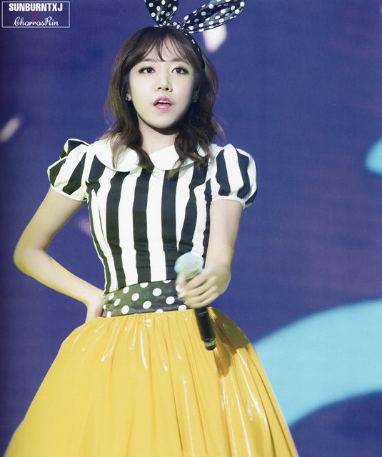 Apink - 1st Concert [Pink Paradise] – photo 28