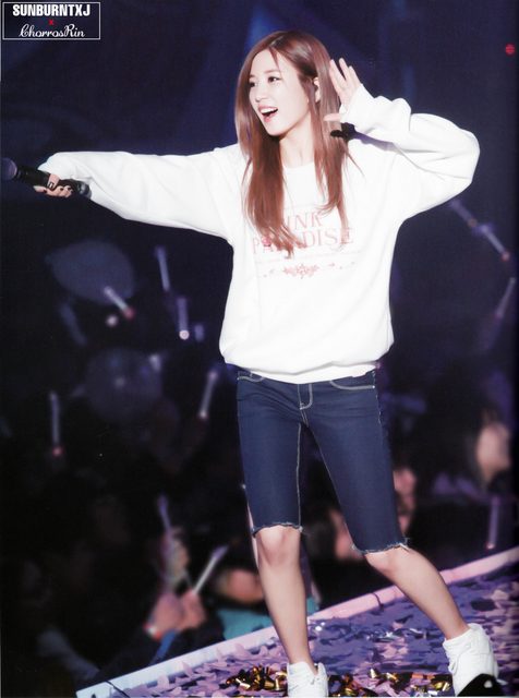 Apink - 1st Concert [Pink Paradise] – photo 38
