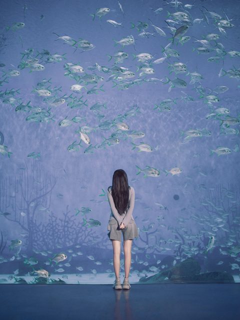 Cheng Xiao - Sina Weibo (程潇已上线) – ảnh 99