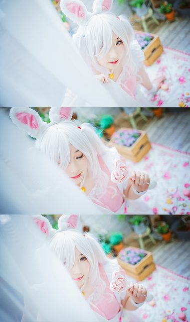 Lacerta Photography – photo 10
