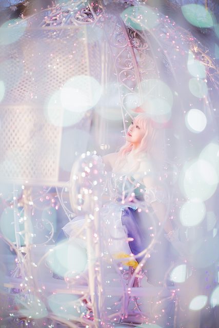 Lacerta Photography – photo 15