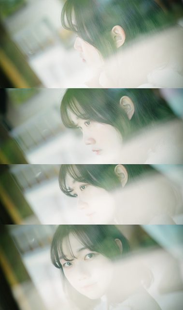 Lacerta Photography – photo 20