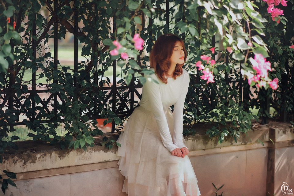 Gái xinh với Hoa Giấy – photo 3