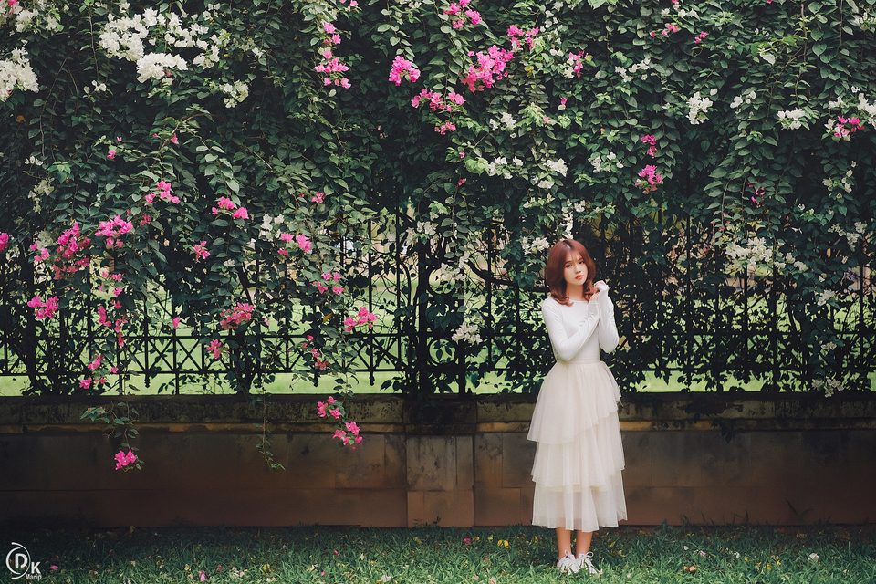 Gái xinh với Hoa Giấy – photo 5