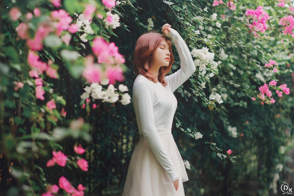 Gái xinh với Hoa Giấy – photo 6