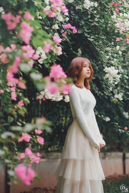 Gái xinh với Hoa Giấy – photo 7