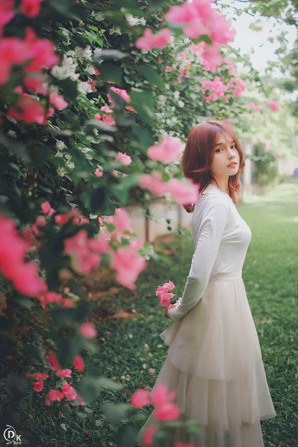Gái xinh với Hoa Giấy – photo 12