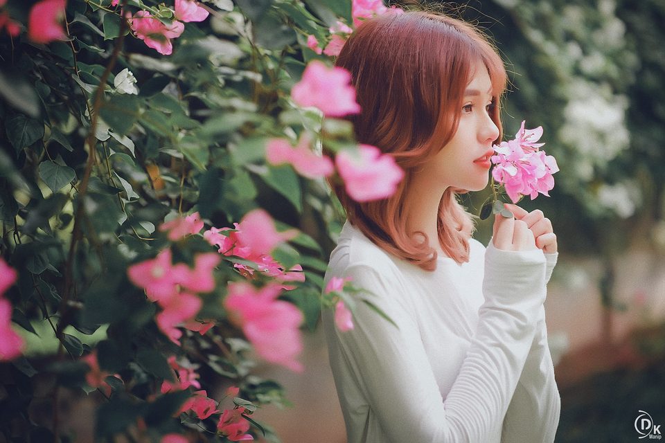 Gái xinh với Hoa Giấy – photo 14