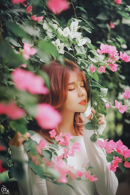 Gái xinh với Hoa Giấy – photo 20