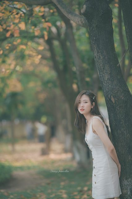 Hoài Linh - mùa lá rụng – photo 22