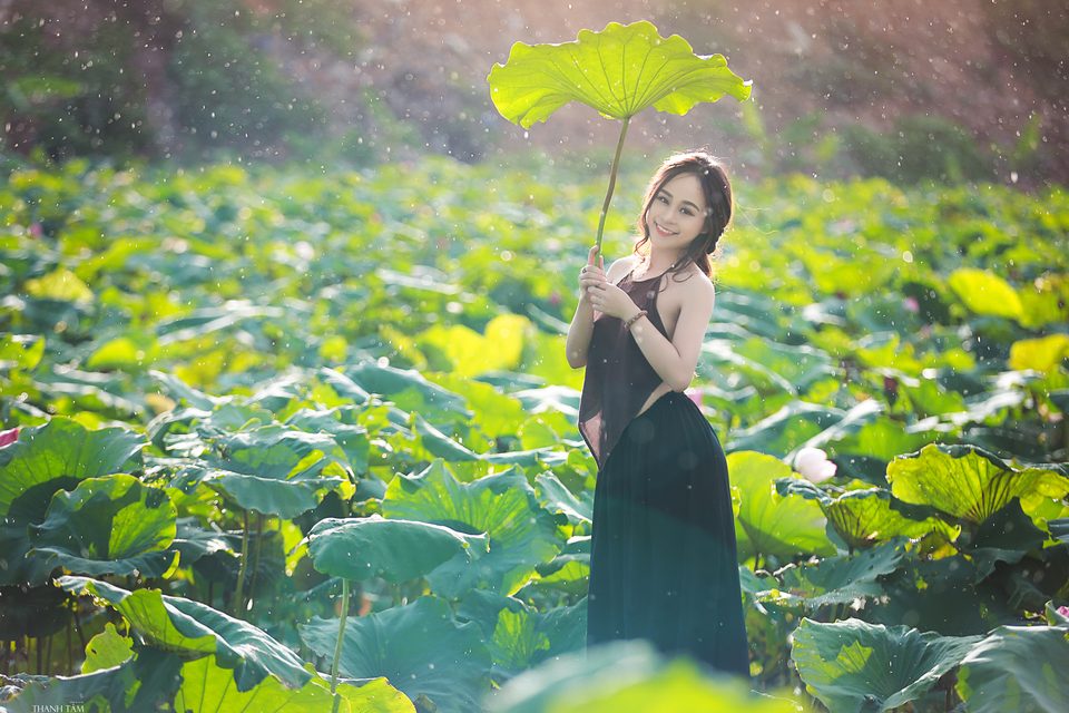 Hà Min - Gái xinh và hoa sen – photo 13