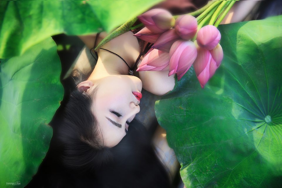 Hồng Rubyshi - Cô gái và hoa sen – photo 5