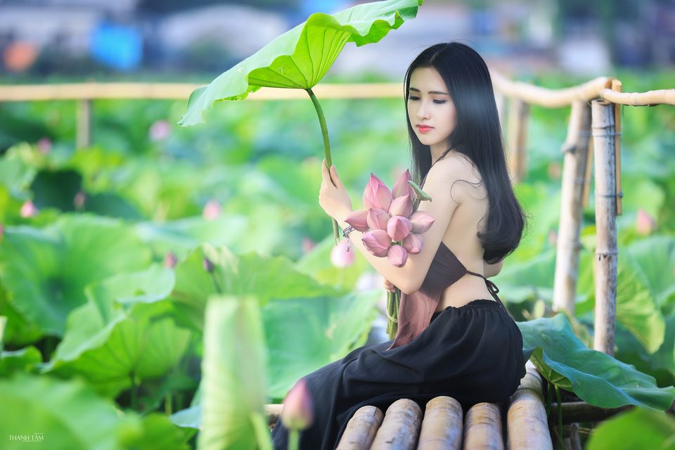 Hồng Rubyshi - Cô gái và hoa sen – photo 8